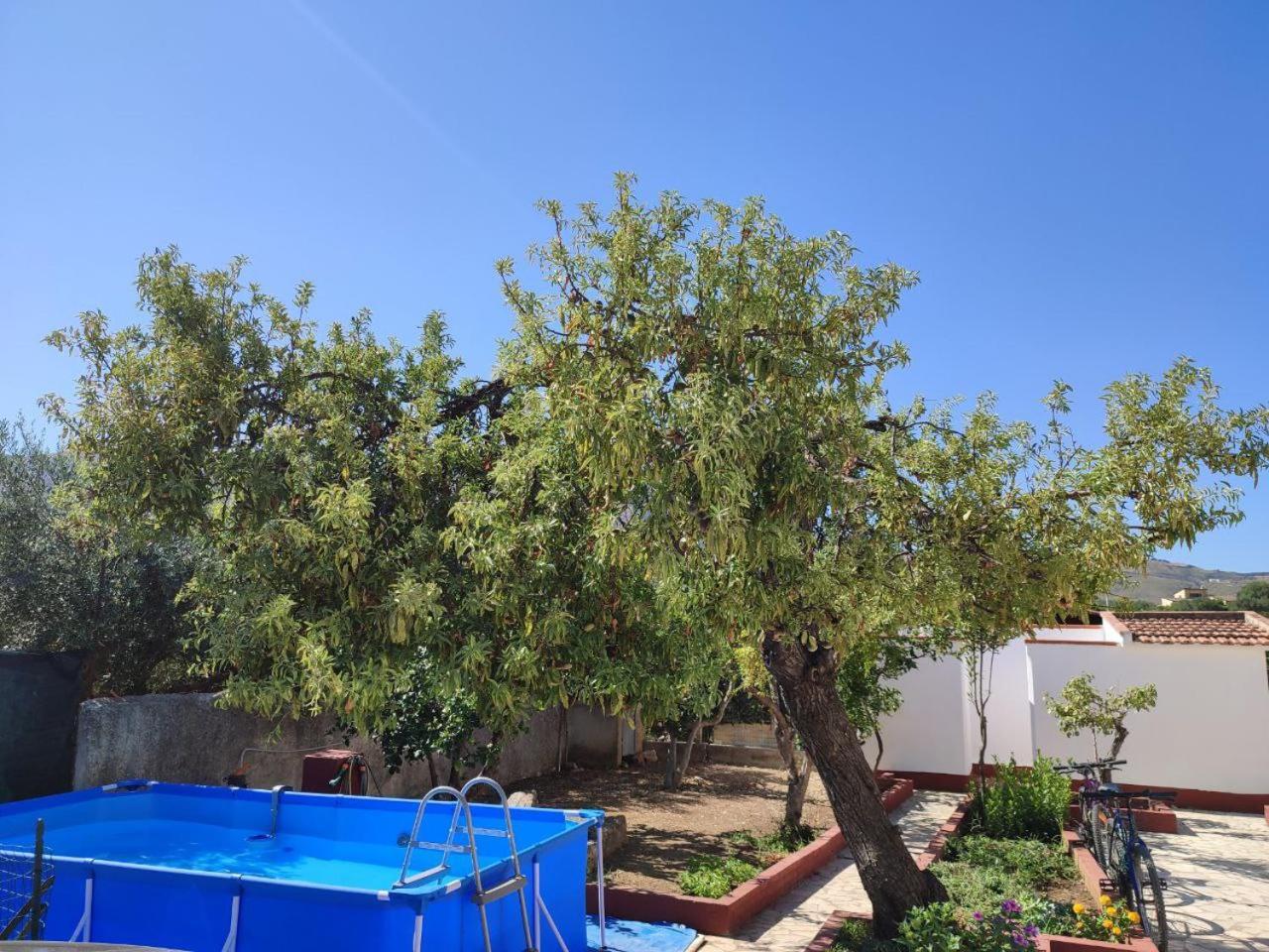Villa Rosa Castellammare del Golfo Kültér fotó